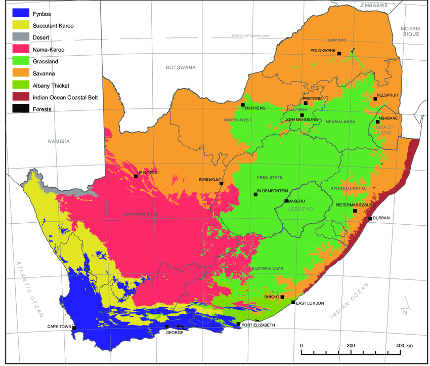 https://www.researchgate.net/figure/Biomes-of-South-Africa-Lesotho-and-Swaziland_fig2_288881136