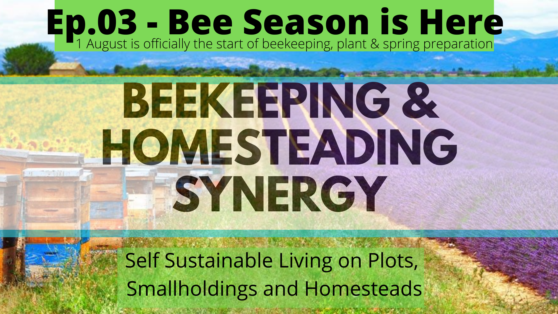 Beekeeping and Homesteading Zoom Talks LIVE