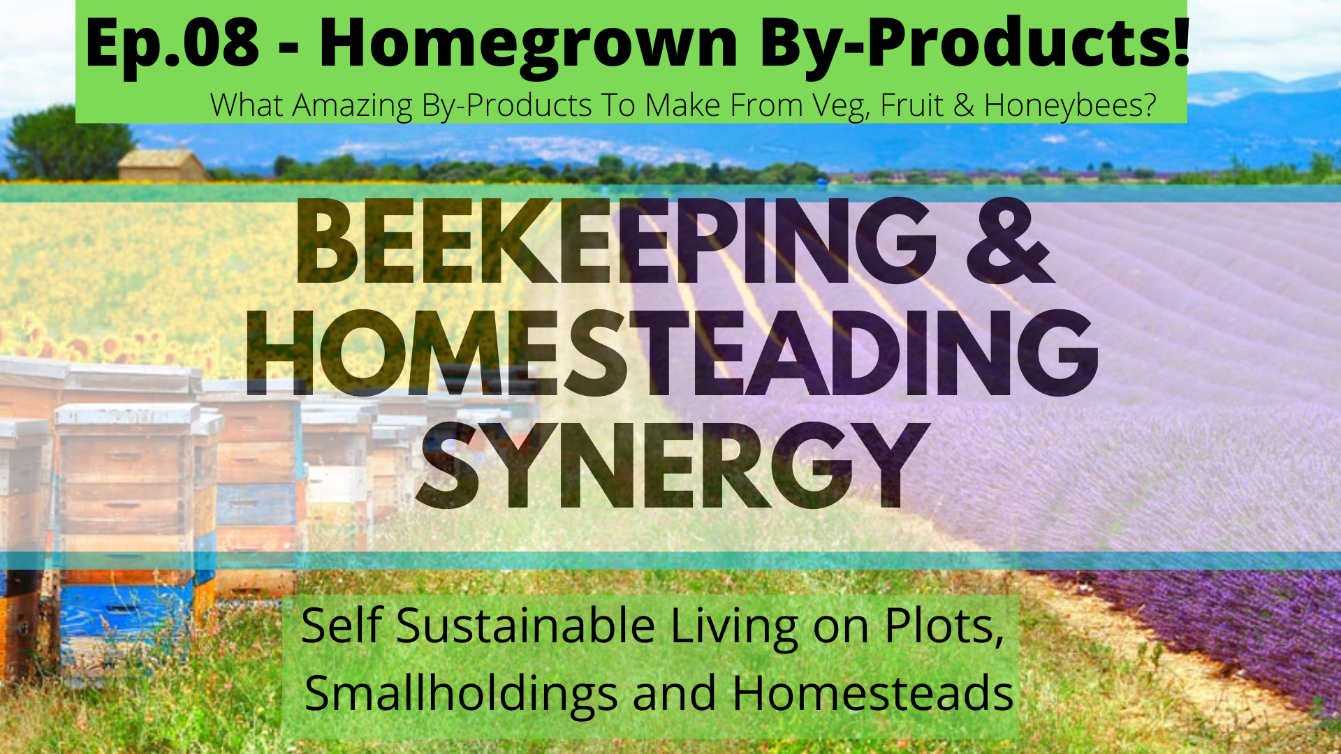 Beekeeping and Homesteading Zoom Talks LIVE