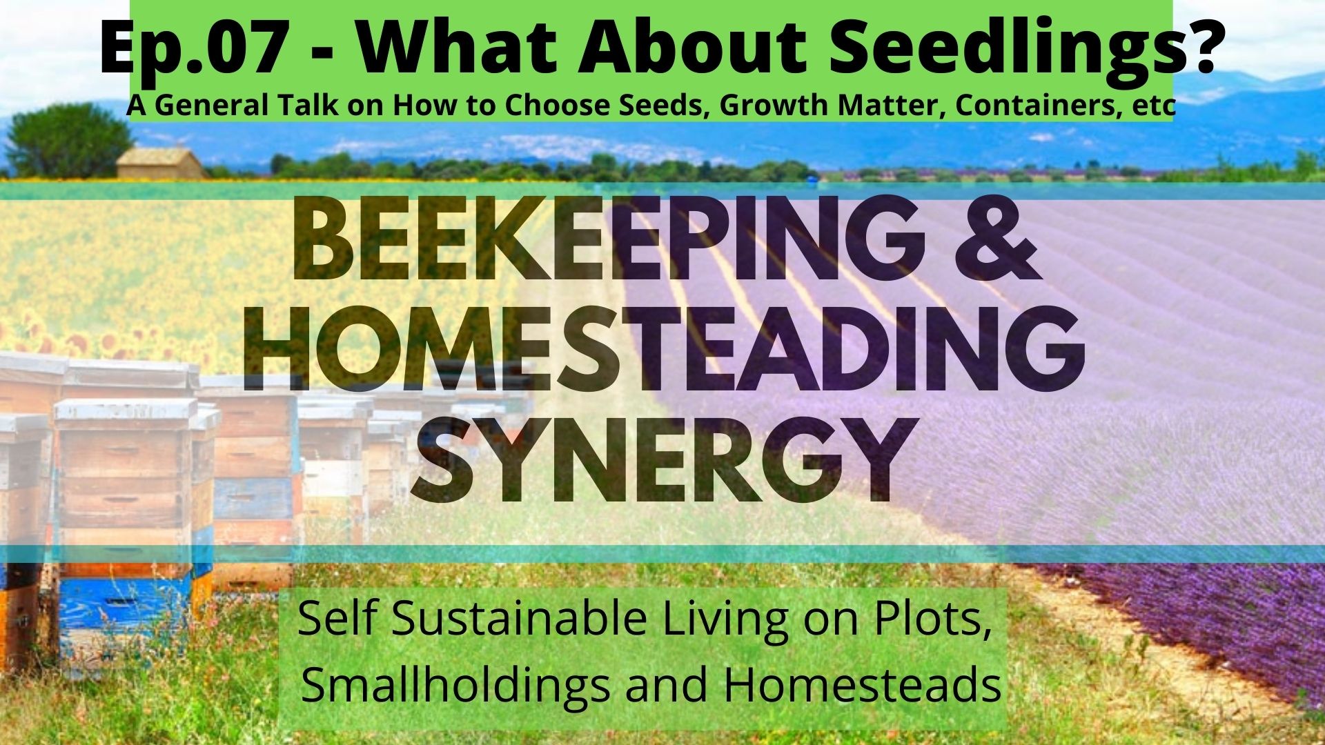 Beekeeping and Homesteading Zoom Talks LIVE