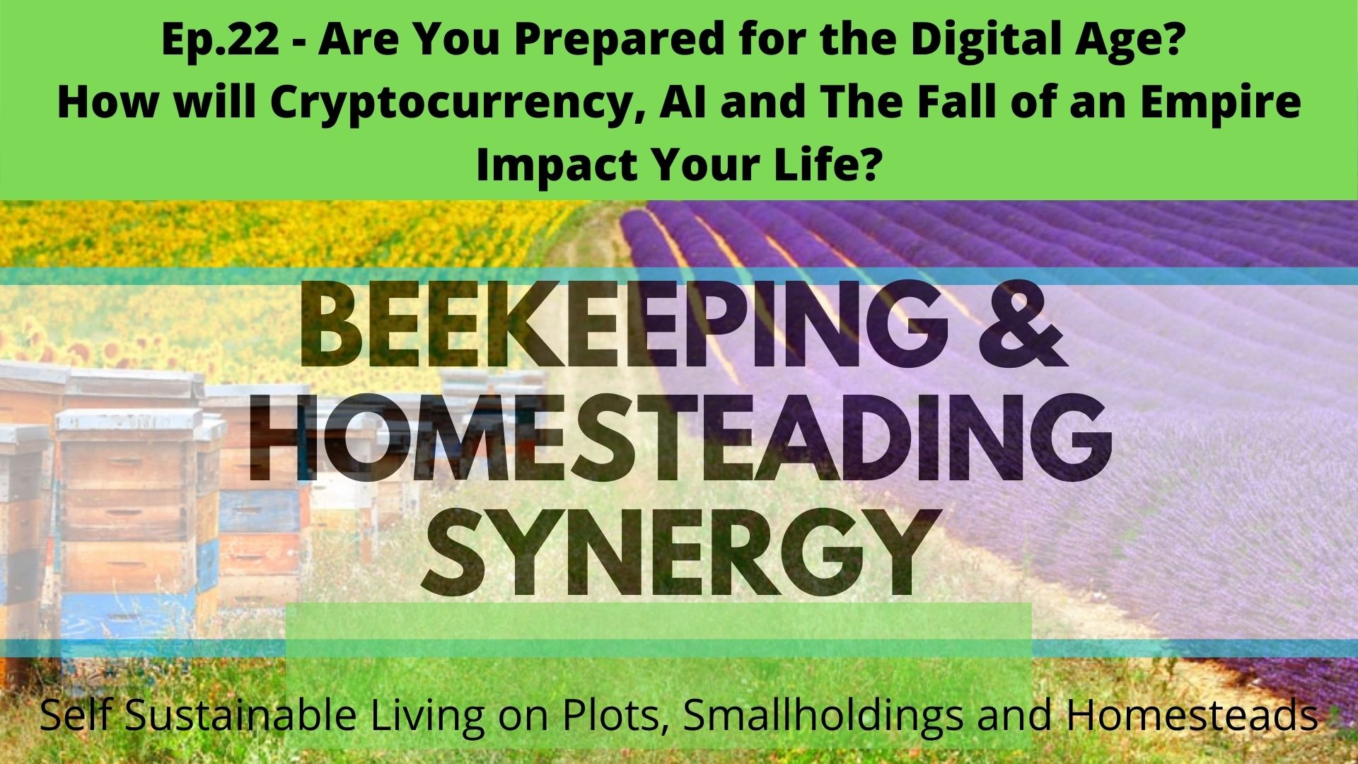 Making Money While Homesteading Keeping The Lights On And Paying The Bills With A Side Of Extra Income...